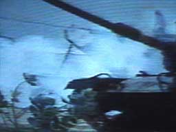 US Navy Tanks